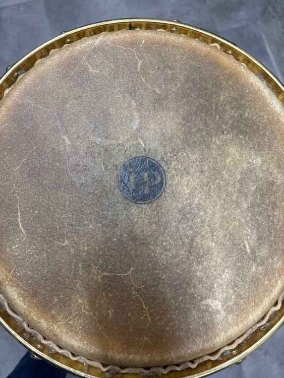 Strumenti musicali: Conga LP – Usato da Münchenstein venduto da scrat118 2