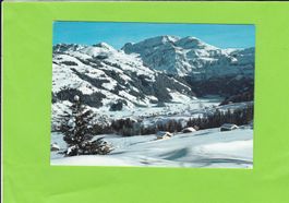 Lenk