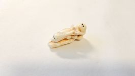 Magnifique ancien Netsuke signé