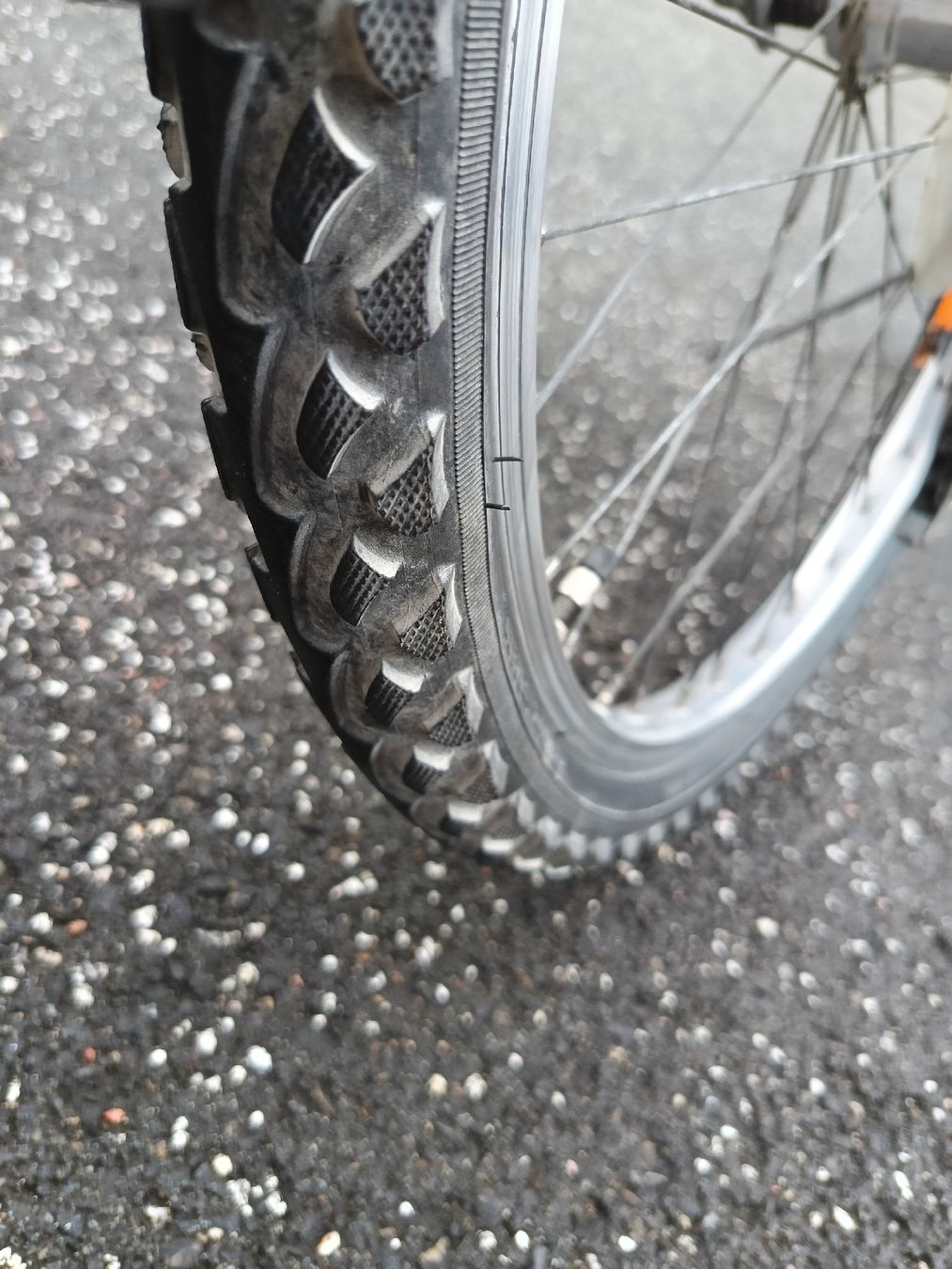 Biciclette: Jugendvelo Mountainbike ab Service – Usato da Amriswil venduto da FahrRadService 7