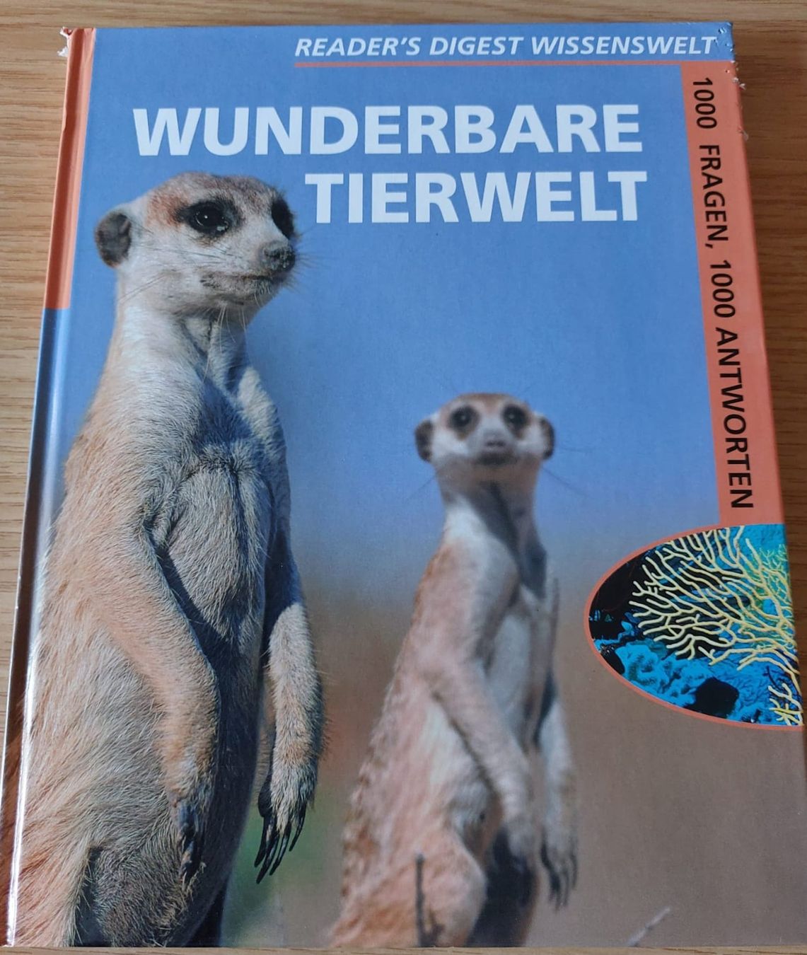 Libri: Reader's Digest Wissenswelt. Wunderbare Tierwelt – Usato da Urtenen-Schönbühl venduto da Kahru