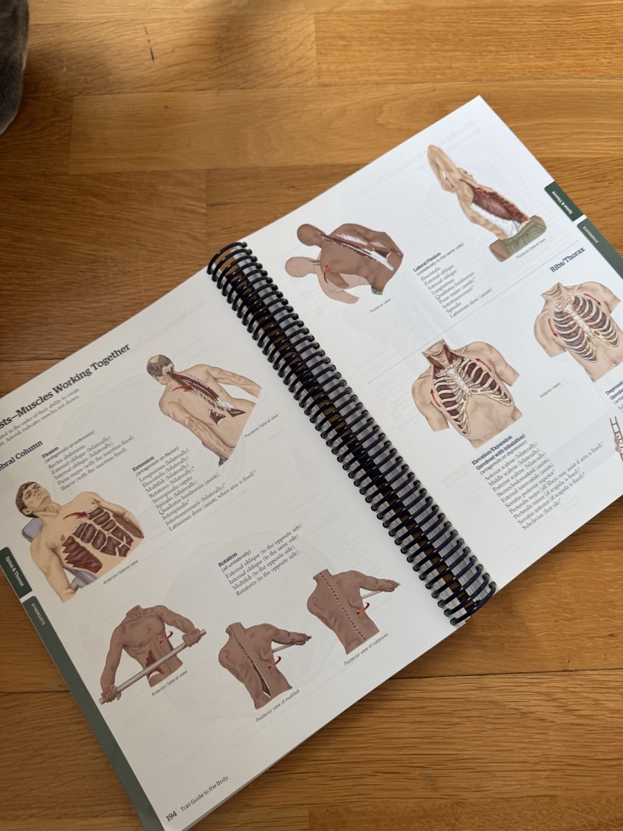 Libri: Trail guide to the body – Nuovo (secondo la descrizione) da Bern venduto da FashionK92 1