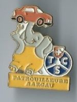TCS PIN