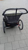 Thule Chariot Lite 2 (Agave)