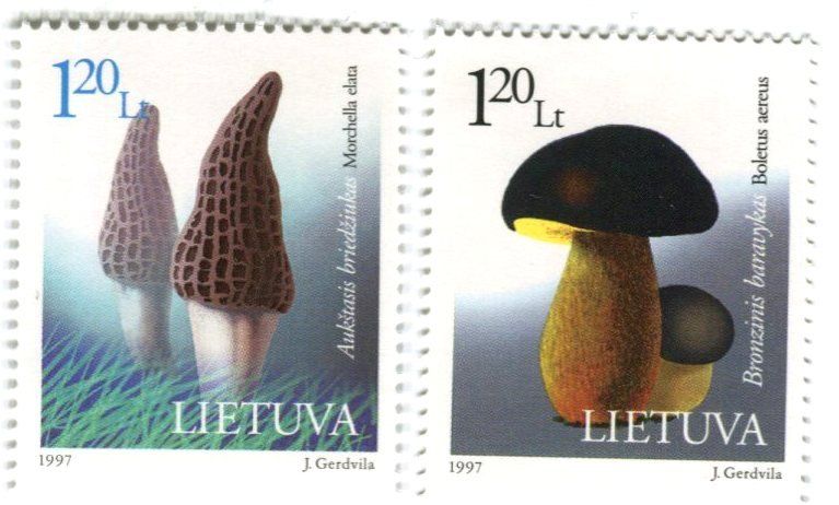 Alle Briefmarken: Briefmarken "Pilze". Litauen – Neu und originalverpackt aus Basel von Butsch5