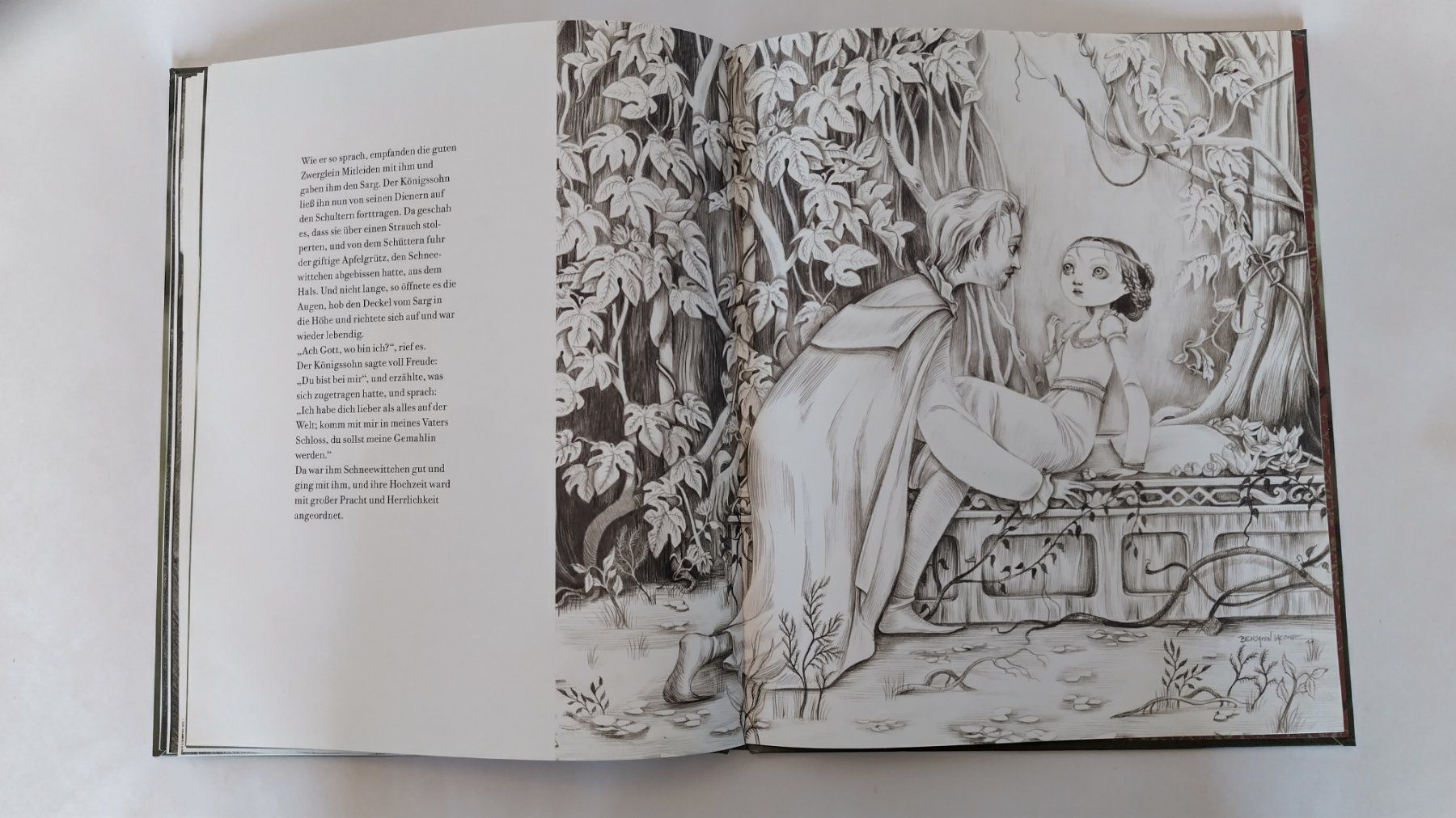 Libri: Schneewittchen / Bilderbuch 2012 von Benjamin Lacombe – Usato da Bellach venduto da JingleJerry 8