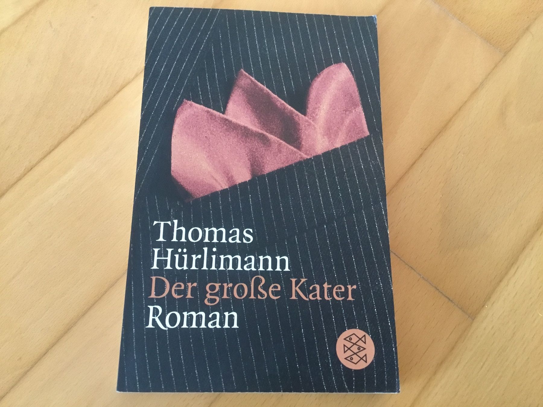 Libri: Der grosse Kater - Thomas Hürlimann – Usato da Kerzers venduto da Georges3210
