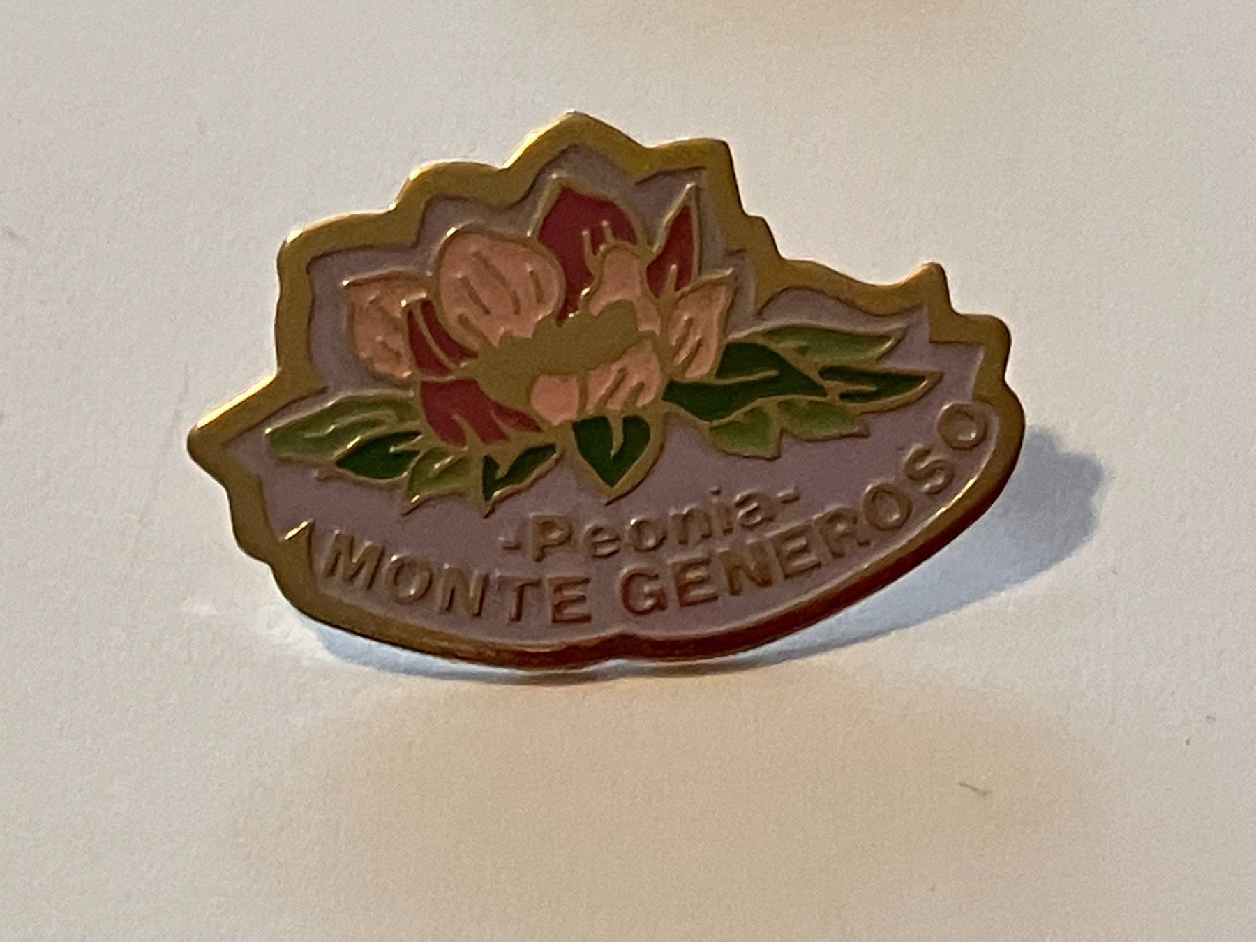 Placchette & Badge: 1 Pin Peonia Monte Generoso – Usato da Basel venduto da djwwpp