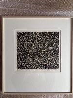 Lithographie artiste suisse D.RIBEAUD cadre 47,5x51,5cm