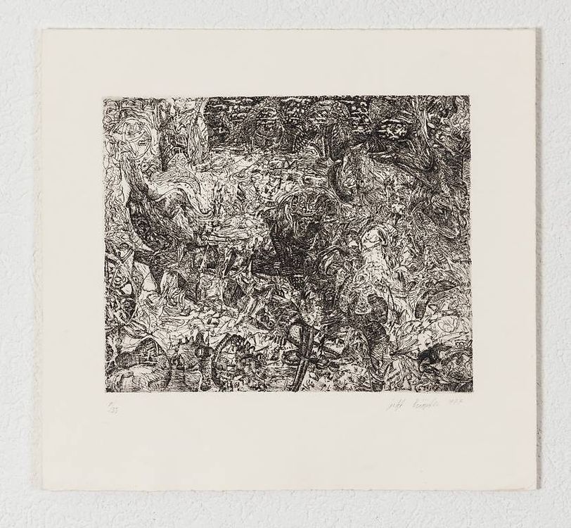 Lithografie "Feinste Strukturen" von I. Knöpfli, 1/75 1