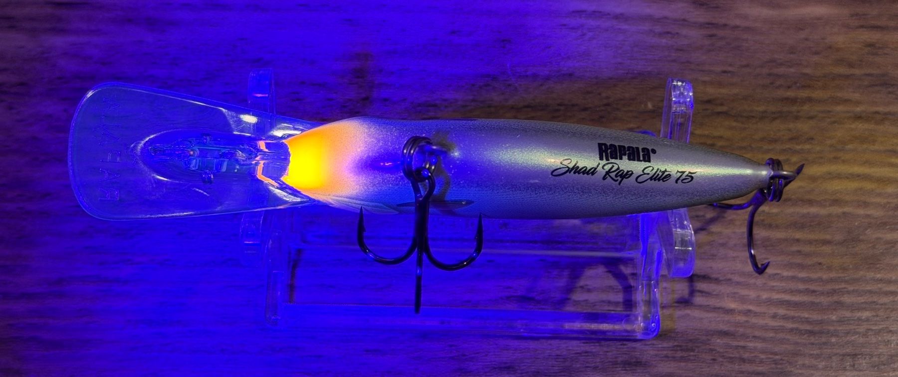 Rapala Köder: Rapala Shad Rap Elite 7.5cm - 12g #23 – Neu und originalverpackt aus Widnau von Fishingtackle_Oggy 3