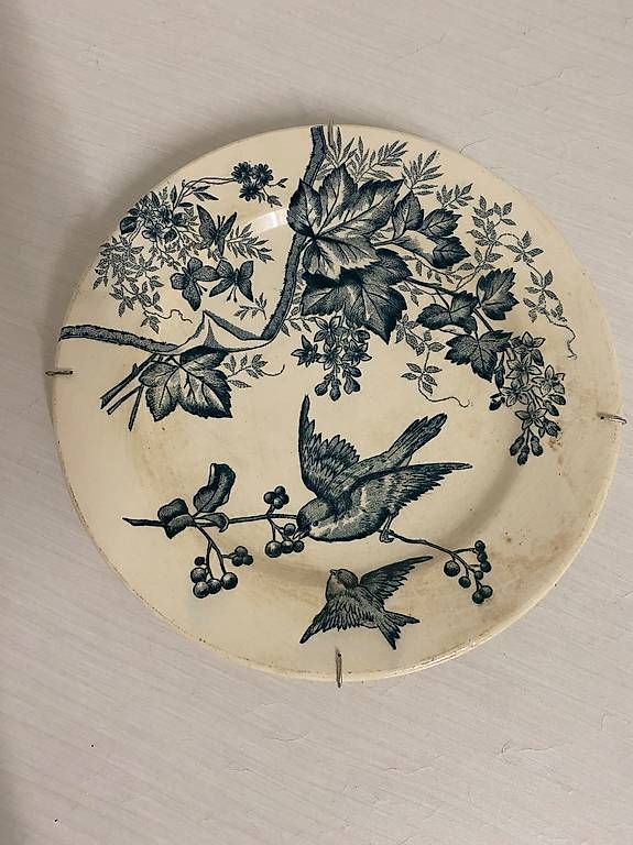 Piatti: 8 assiettes décoratives fin 19eme  – Usato da St-Blaise venduto da NSUTT1953 1