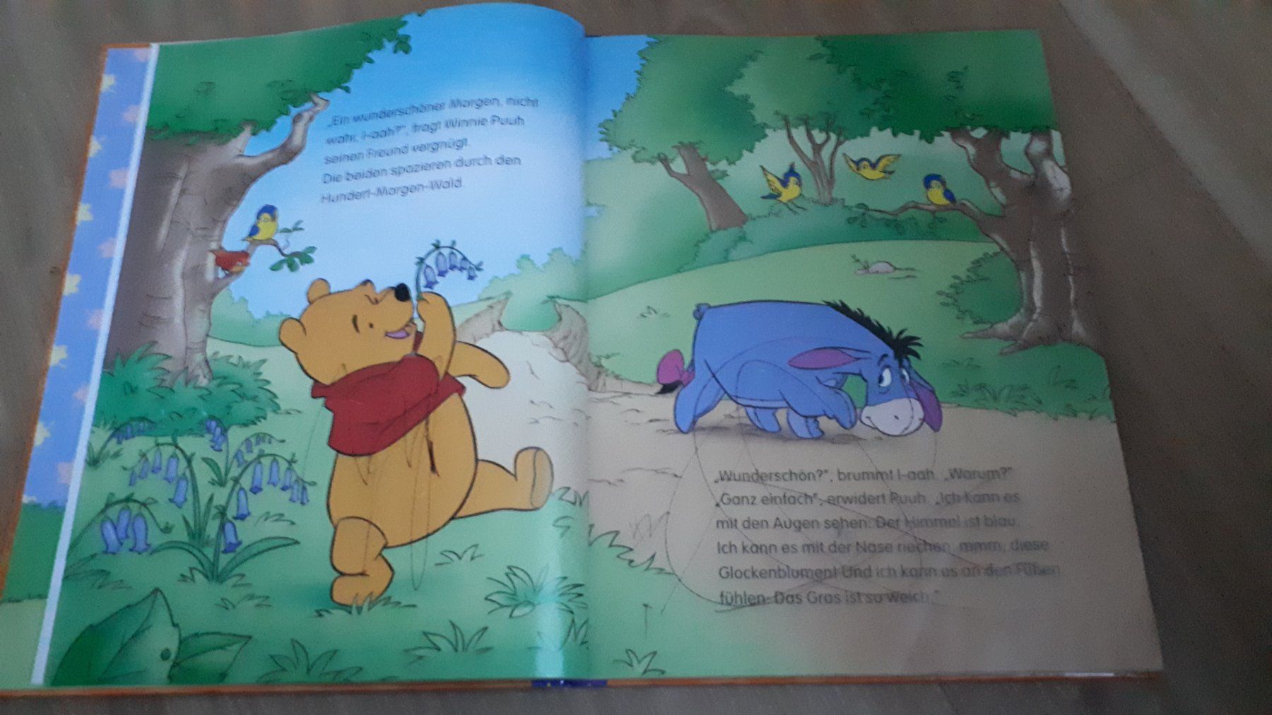 Libri: Winnie Puuh - Ein wunderschöner Tag – Usato da Steg im Tösstal venduto da martinkreisl 1