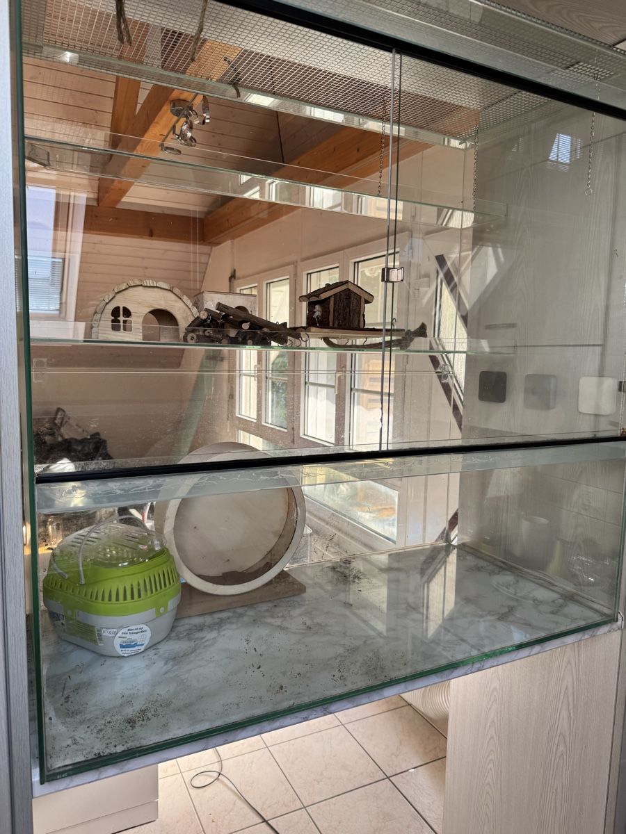 Terrariums: Terrarium 100x100x50 – D'occasion à Finsterhennen par sha_tw9q 1
