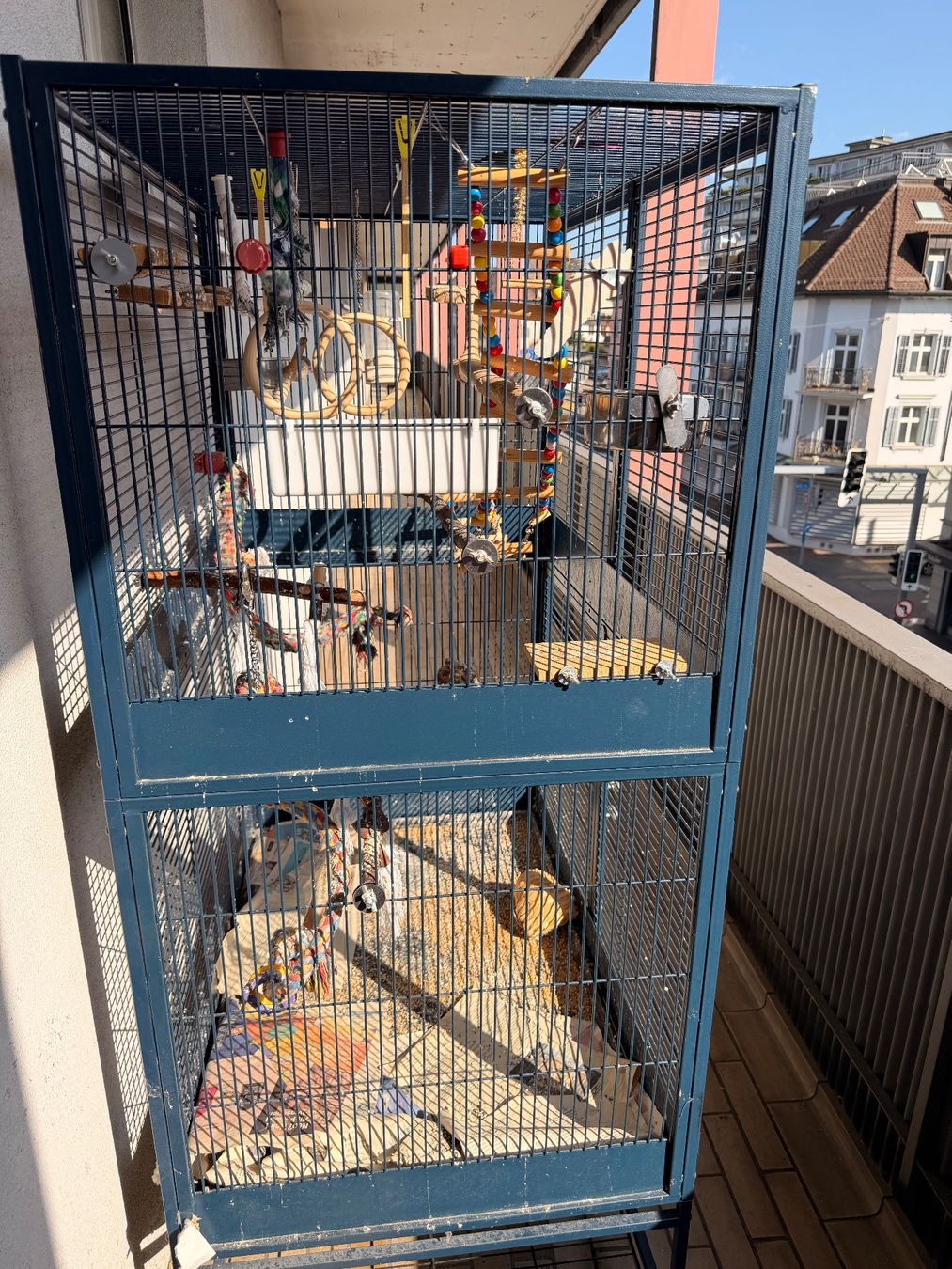 Gabbie, trasporto & Sicurezza: Grosse Vogelvoliere günstig – Usato da Rapperswil SG venduto da Computerr 4