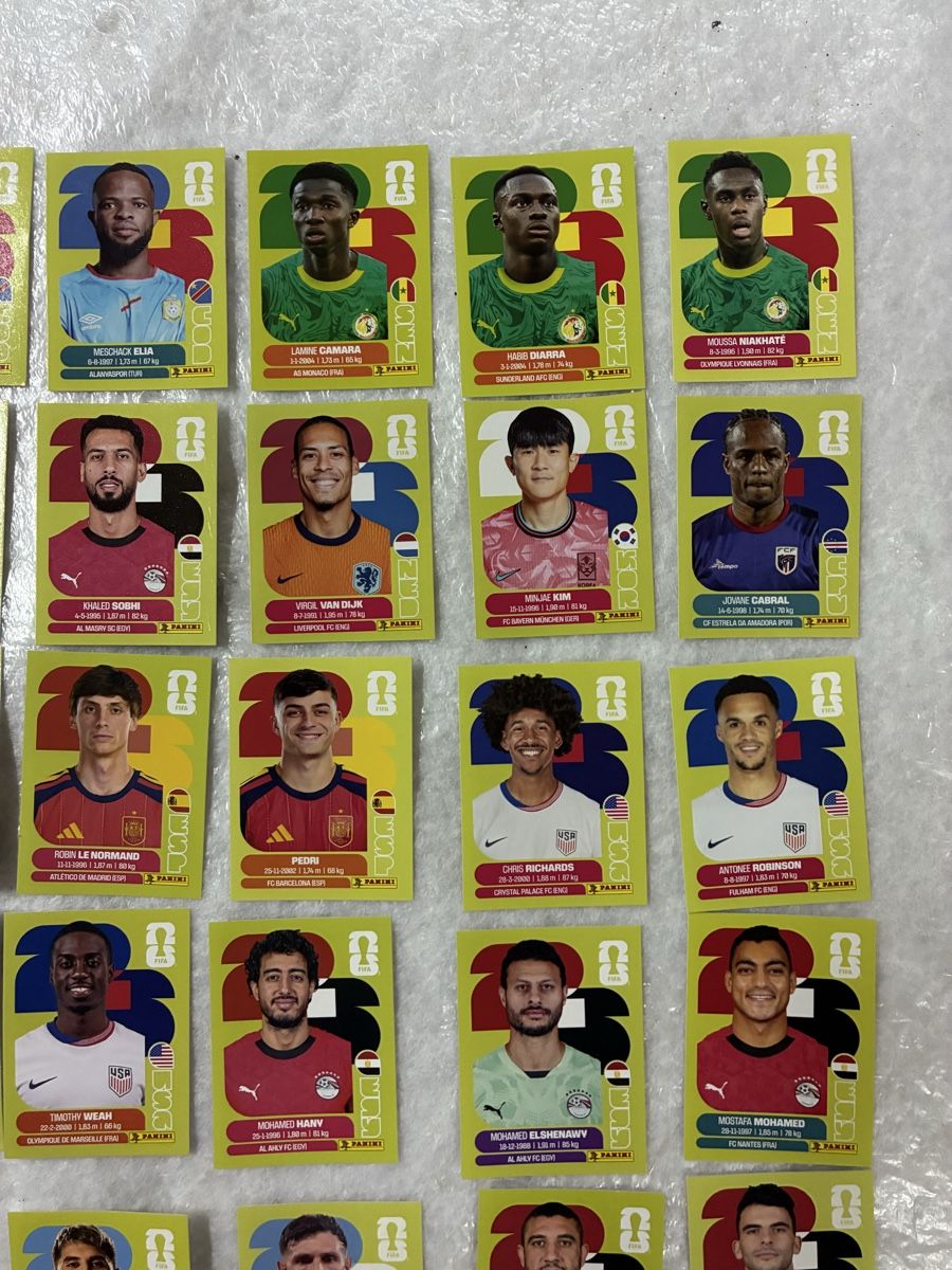 Panini Carte collezionabili: Panini WM 2026 Sammelbilder  – Usato da Emmen venduto da paesu6 2