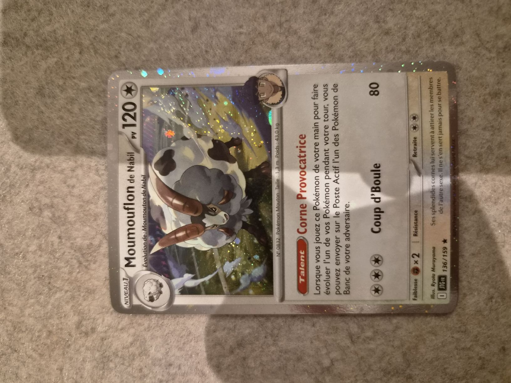 Pokémon Carte collezionabili: Moumouflon de Nabil 136/159 – Nuovo (secondo la descrizione) da Les Acacias venduto da S.Vieira