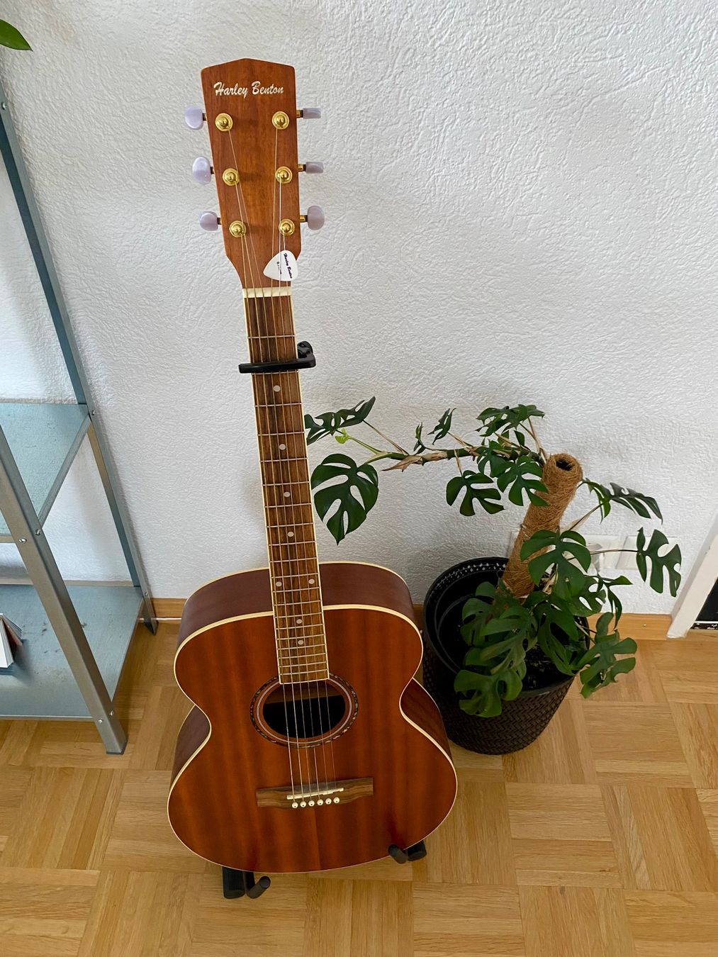 Harley Benton Strumenti musicali: Gitarre Hatley Benton – Usato da Steffisburg venduto da Tatjana_Beck