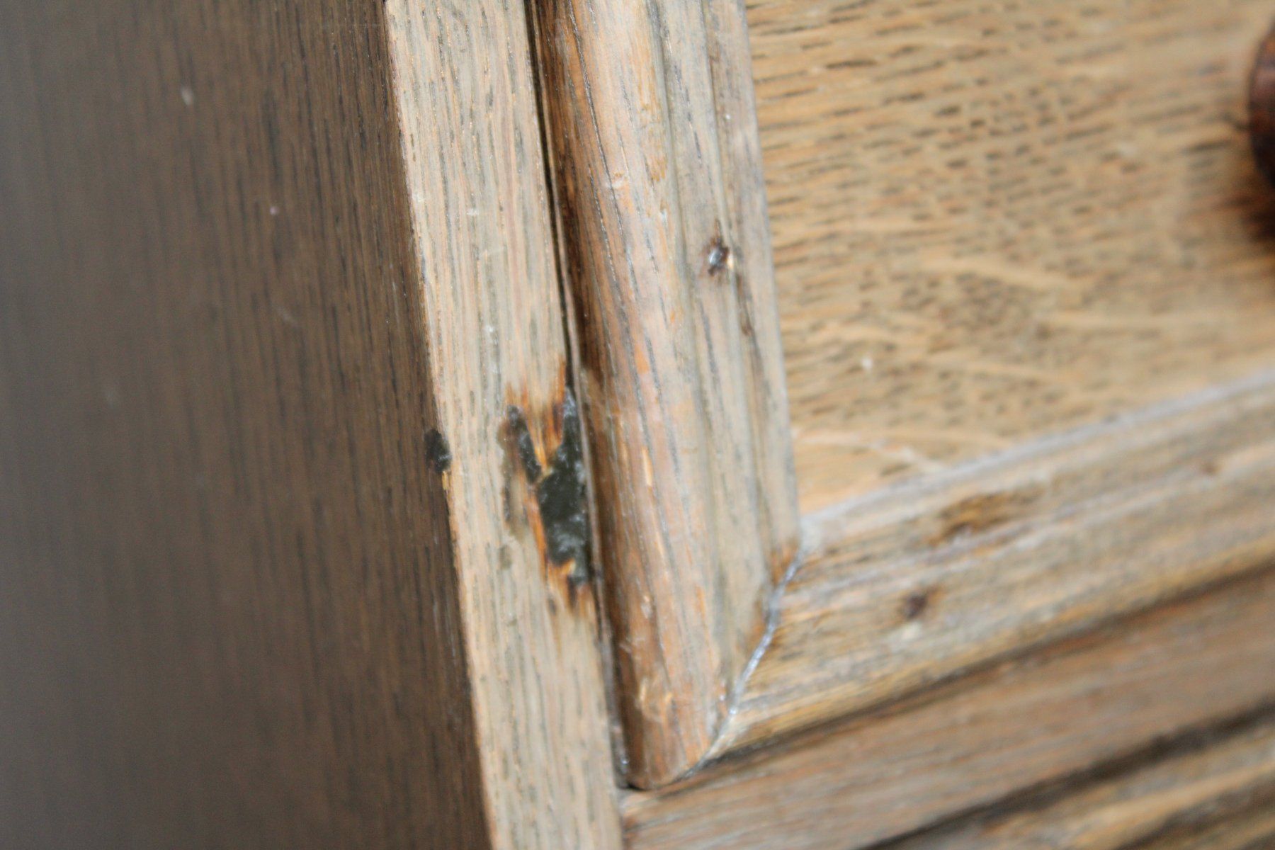 Commodes: Schuh-Kommode (SN) – D'occasion à Schaan par antikes_und_kurioses 4