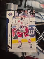 Jeremy Wick Rapperswil Jona Lakers Sportzoo 2024/25