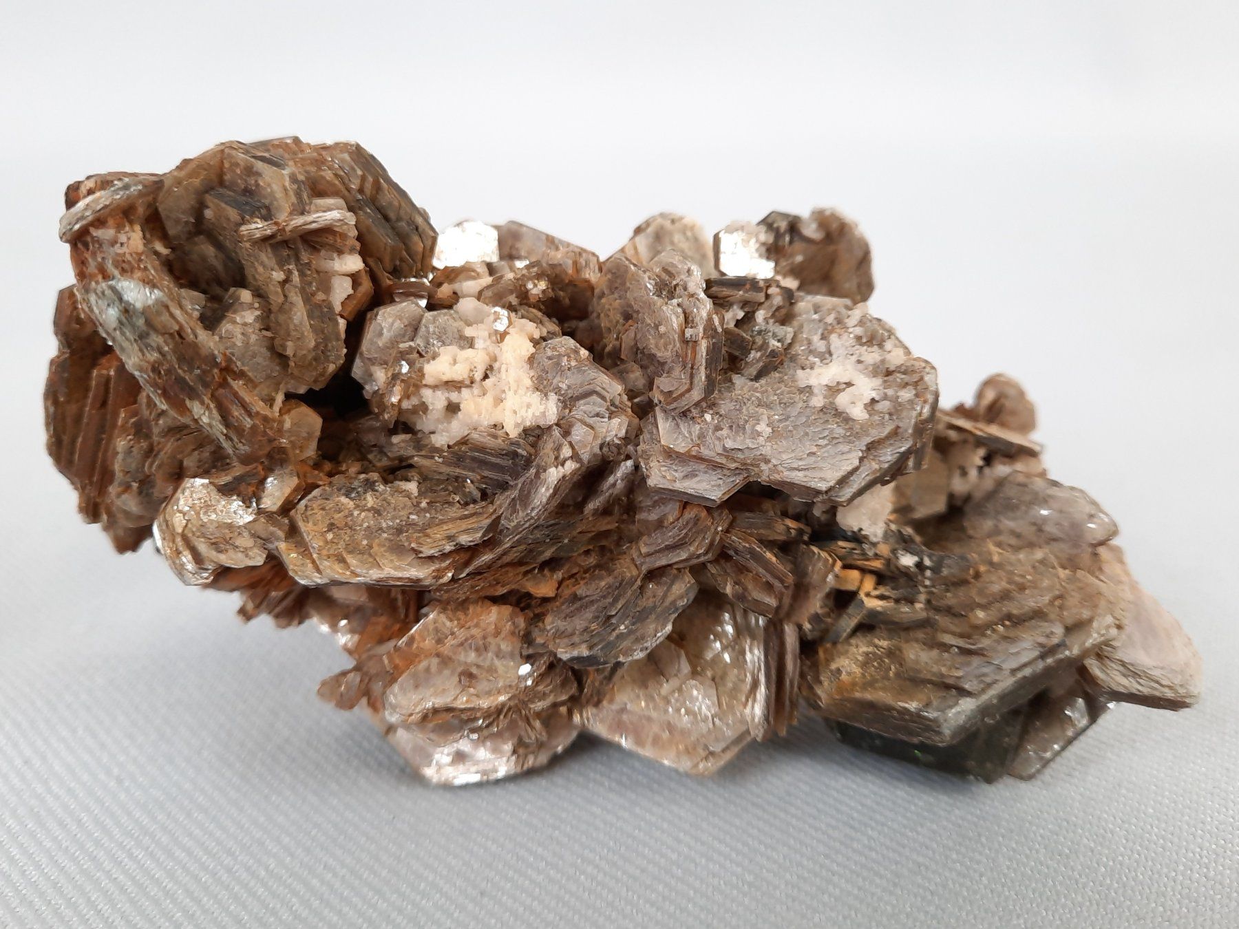 Minerali & Pietre curative: Katzensilber und Katzengold – Usato da Beinwil am See venduto da Restwert_Beinwil 1