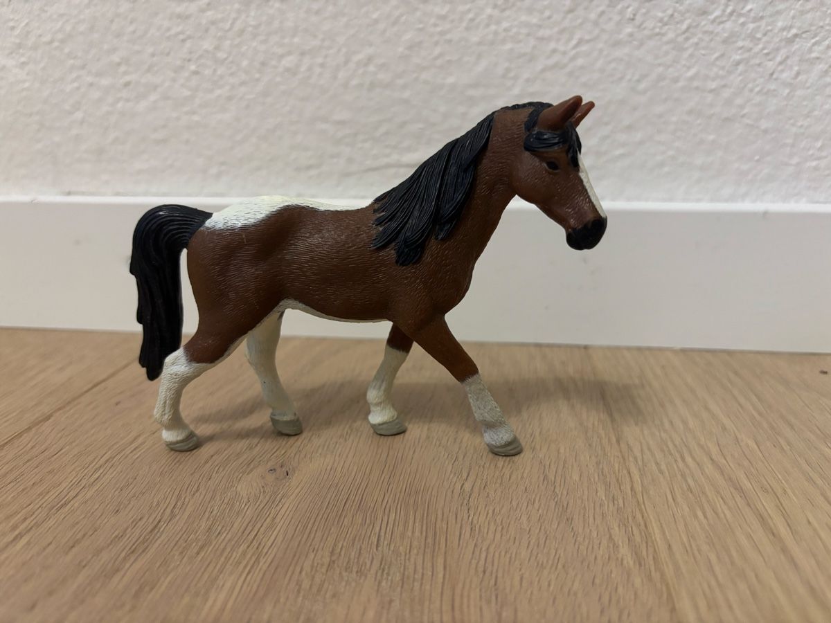 Schleich Figurines: Schleich Sondereditionen – D'occasion à Bubendorf par mellusa 5