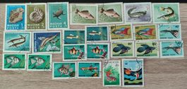 25 Fischbriefmarken timbres Poissons Magyar francobolli pesc
