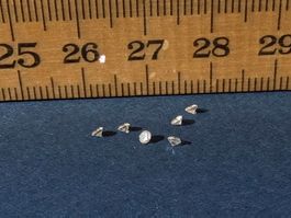 6 echte natürliche Diamanten im Brillantschliff