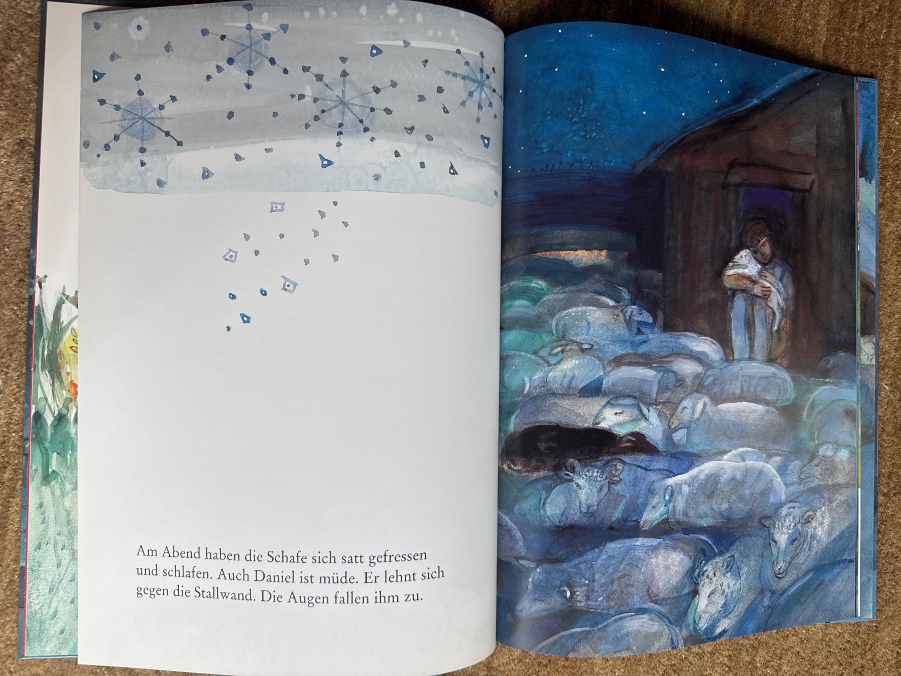 Libri: Daniel - Weihnachtsgeschichte mit Liedern, Gerda Bächli – Usato da Aarau venduto da Kilauea 2