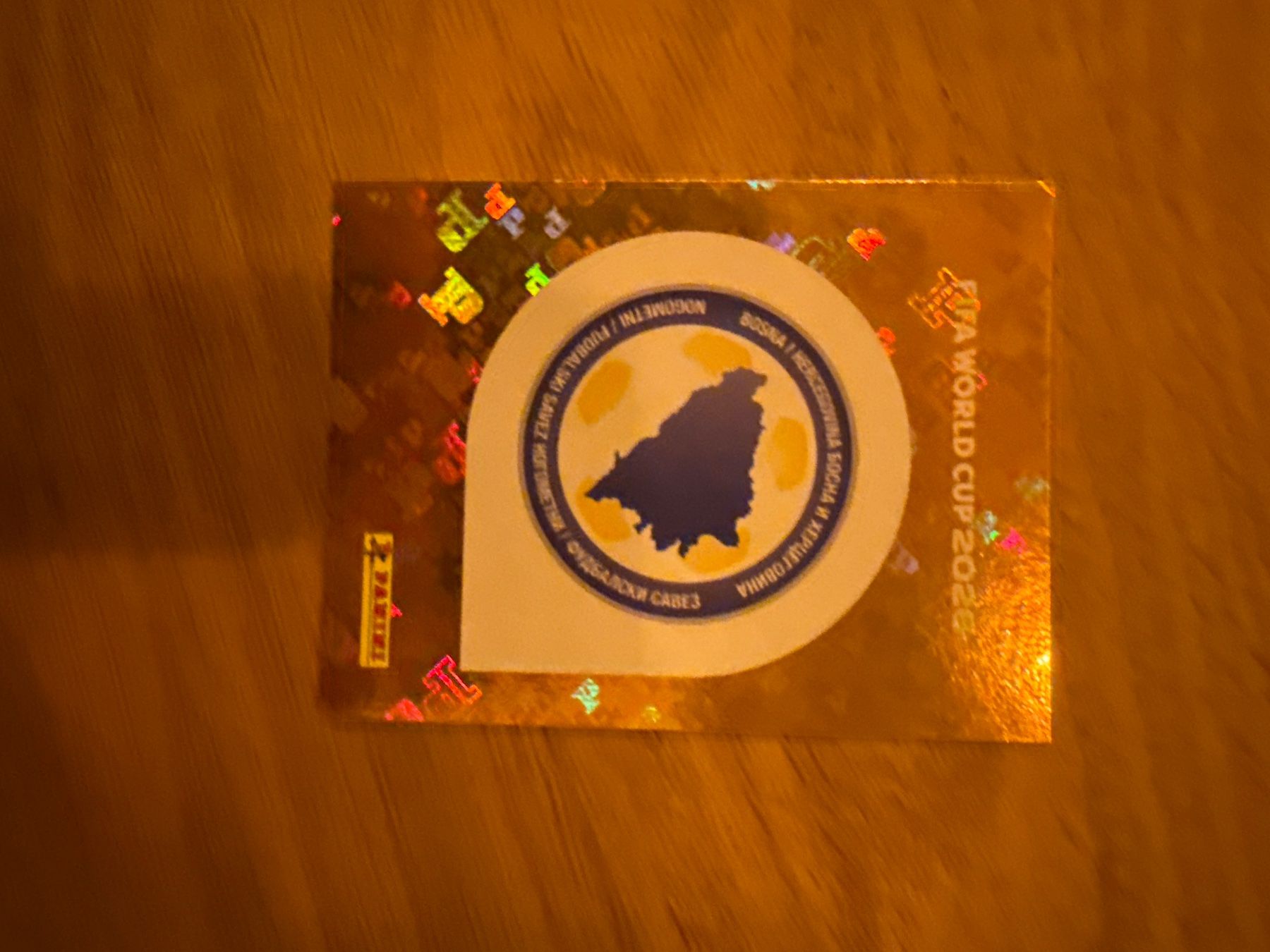 Panini Carte collezionabili: Panini – Usato da Langnau i. E. venduto da Acrjl