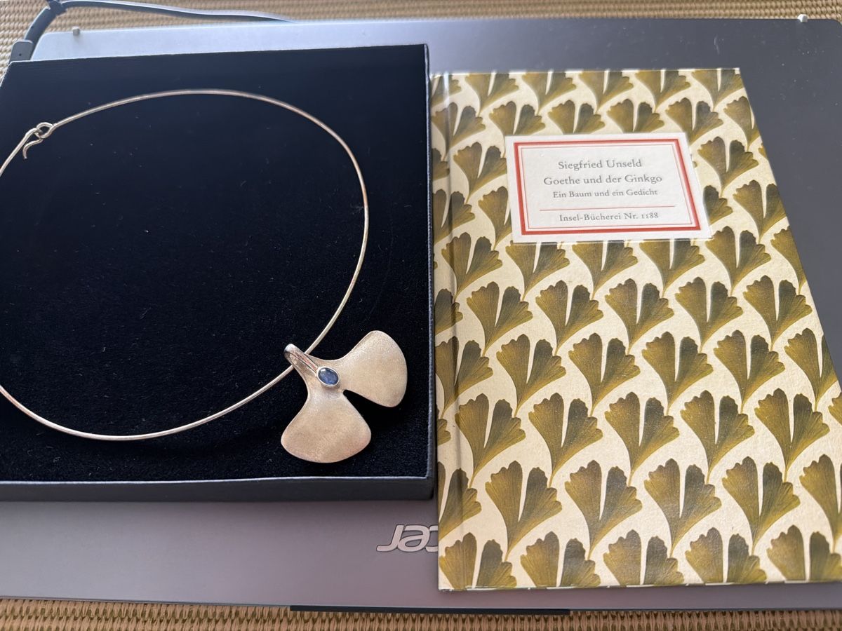 Catenine: Paul Wunderlich Halsschmuck Ginko Blatt Silber  – Nuovo (secondo la descrizione) da Solothurn venduto da Rginger12 2
