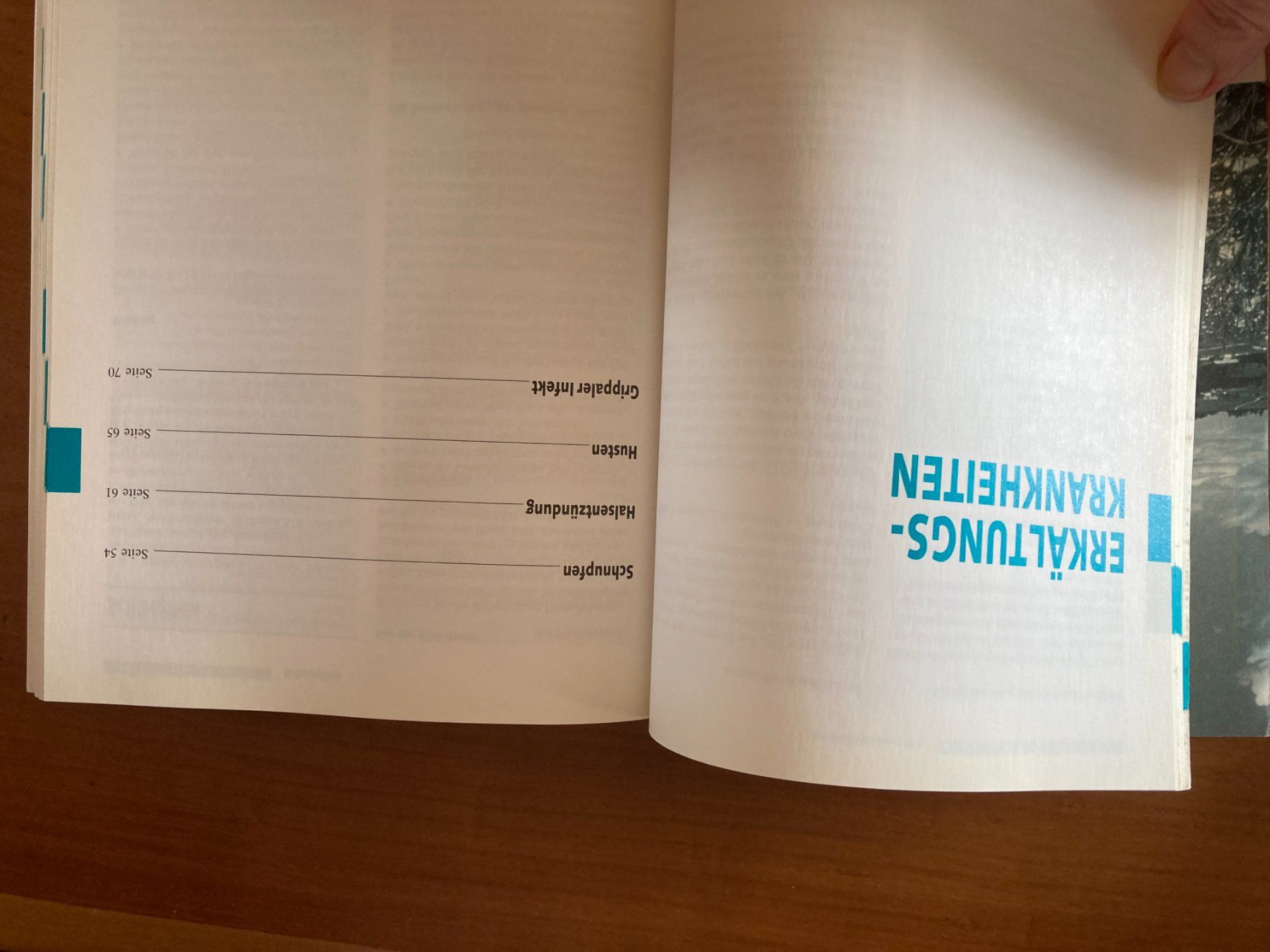 Libri: GU Verlag   HOMÖOPATHIE – Usato da Subingen venduto da ArtBead 4