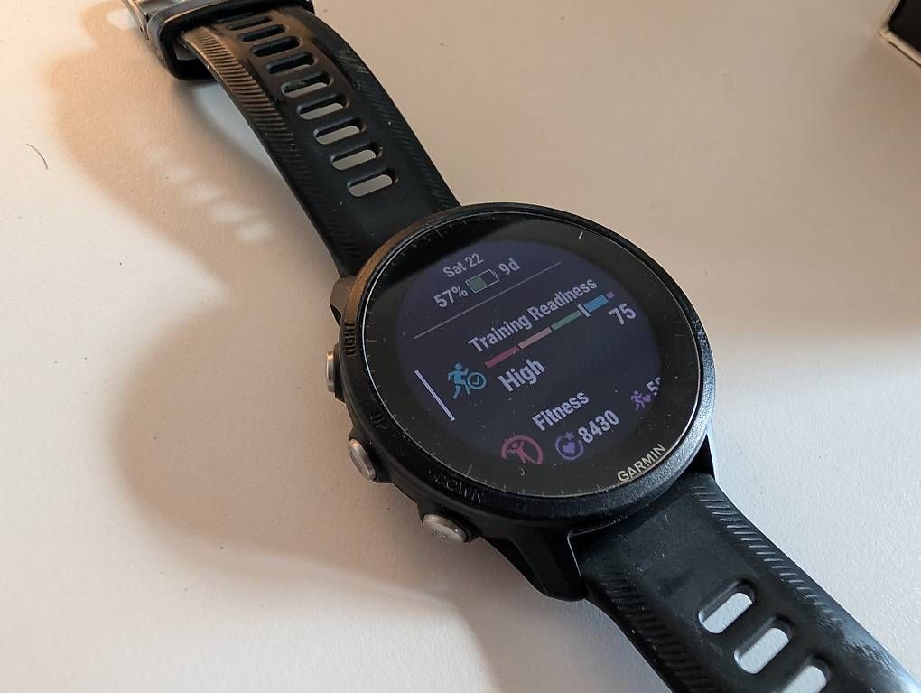 Smartwatch: Garmin Forerunner 955 – Gebraucht aus Baden von voj_8xht 1