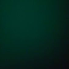 Profile image of kathy19