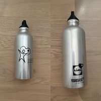 SIGG Flasche Lidl