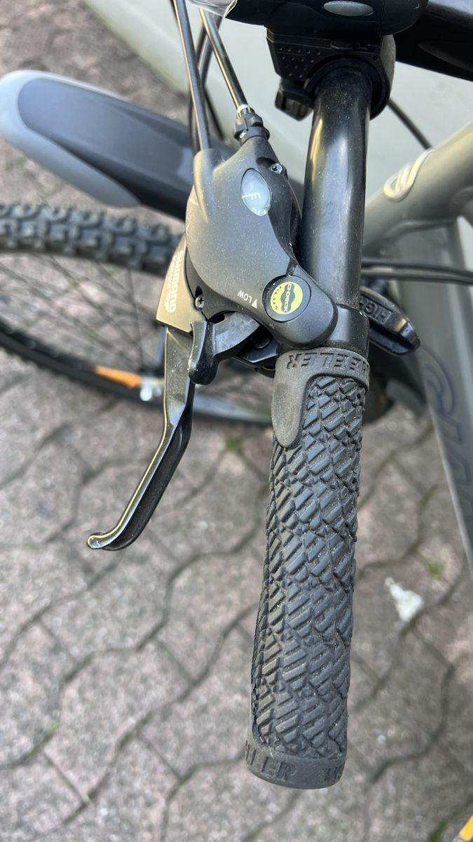 Giant Biciclette: Bike GIANT Grösse L – Usato da Herisau venduto da YOLO76 6