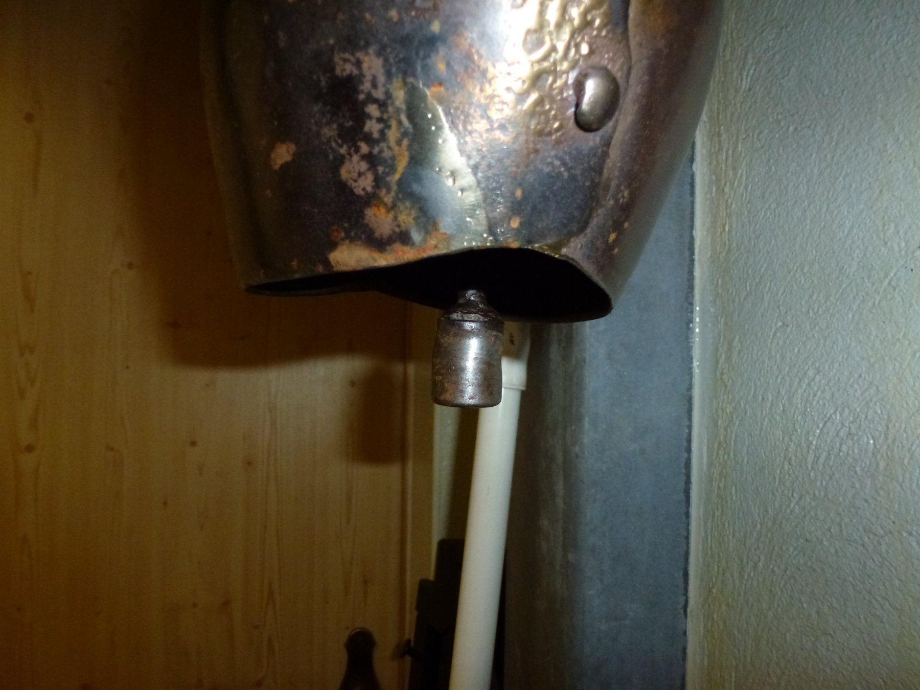 Morier Campanacci mucche: P.MORIER – Usato da Bürglen UR venduto da daisyxy5 5