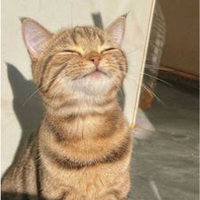 Profile image of Floppy_