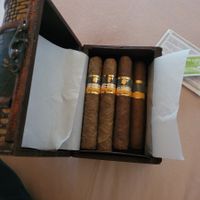 Zigarren Cohiba Robusto (9 Stck.)