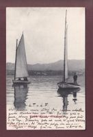 Am Zürichsee - SEGELSCHIFFE - 1904