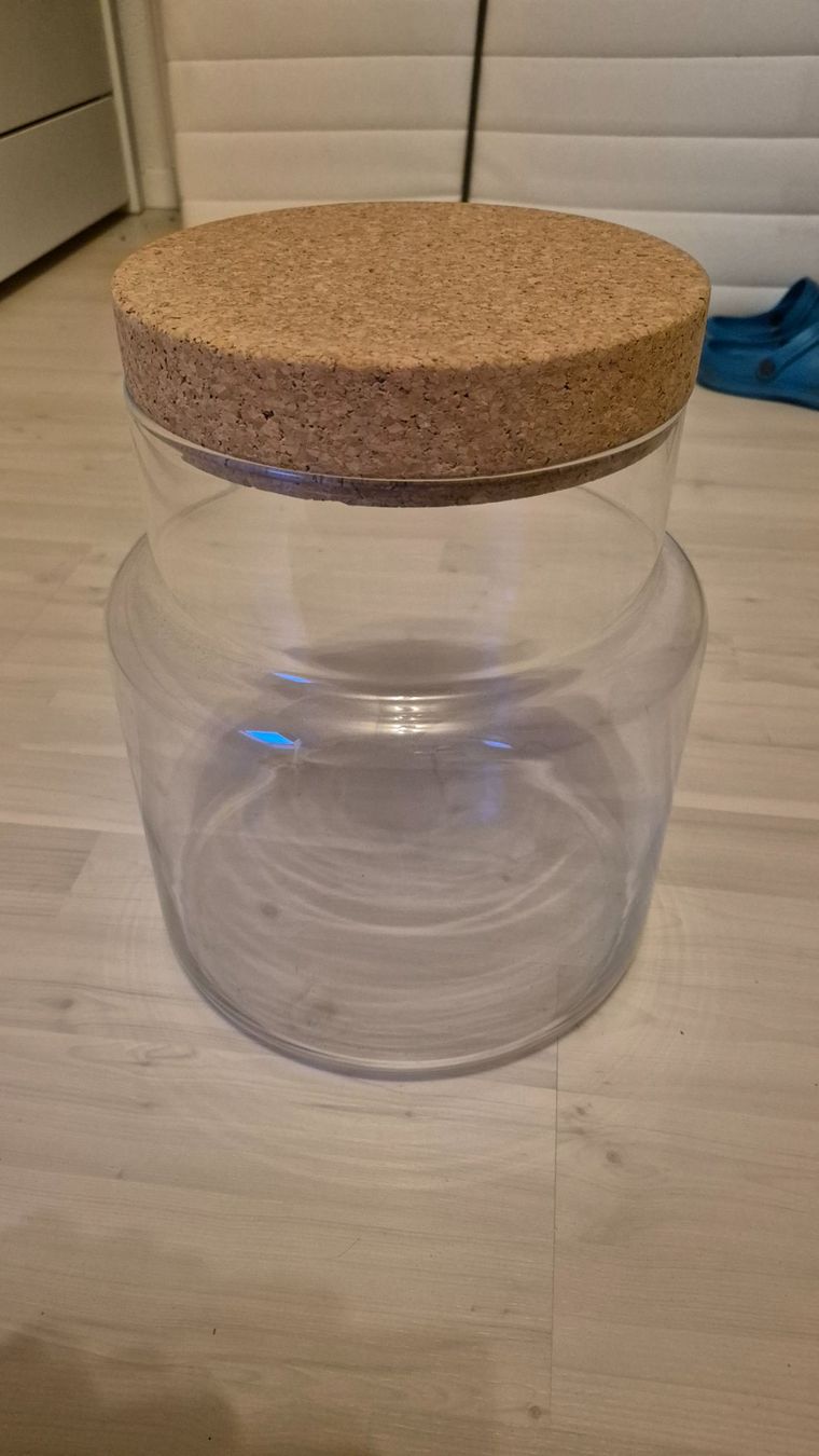 Bicchieri: Glas mit Deckel – Usato da Schnottwil venduto da jenro