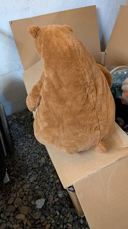 Jouets: Riesen Teddybär unbenutzt – D'occasion à Romanshorn par Heinz_ketchup 1