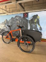 Electric Cargo Tricycle with Front Cargo Box
