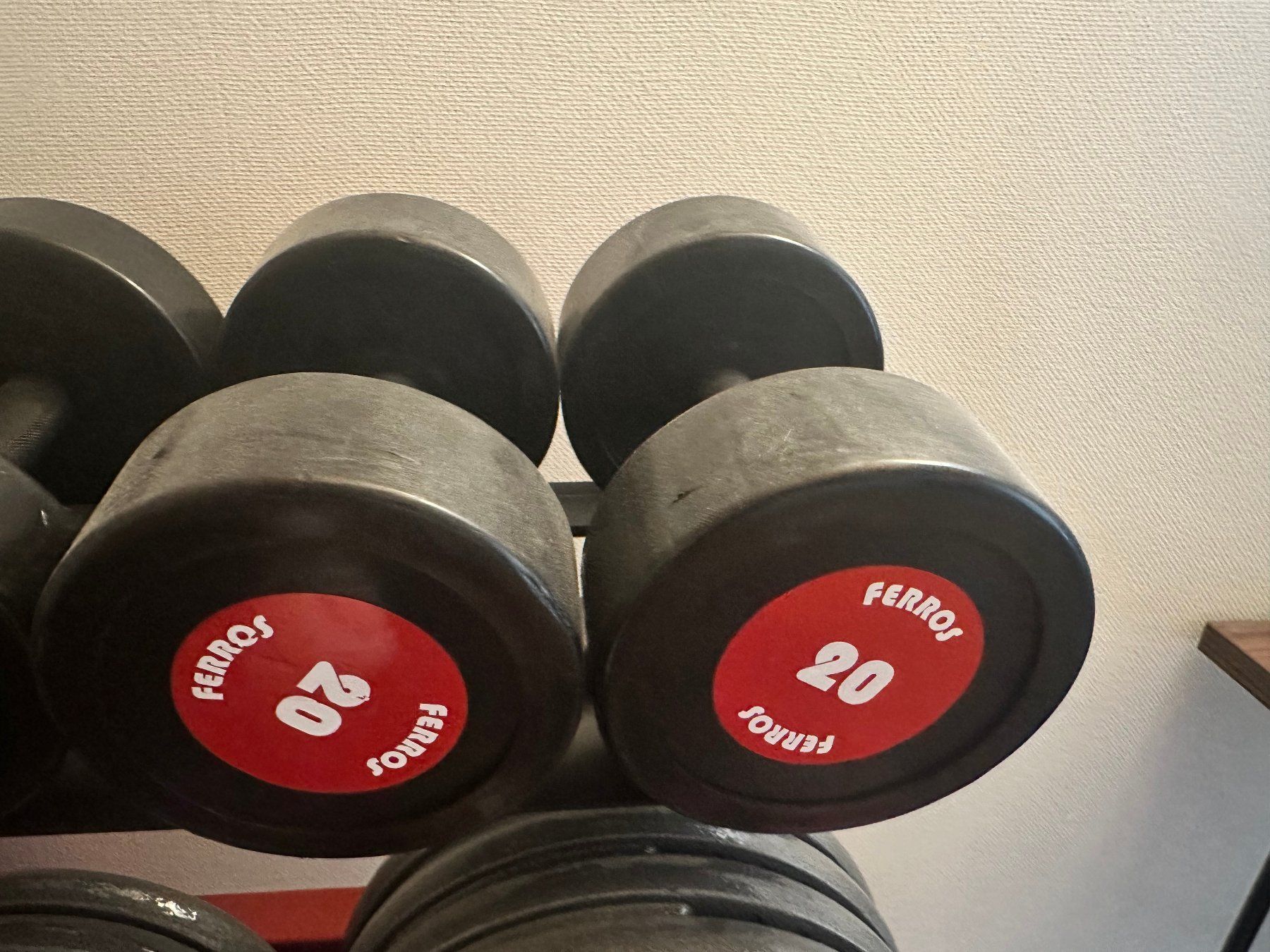 Manubri & Pesi: Dumbbells 2x20kg – Usato da Zürich venduto da hub_2r9g
