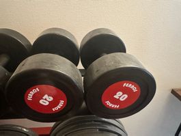 Dumbbells 2x20kg