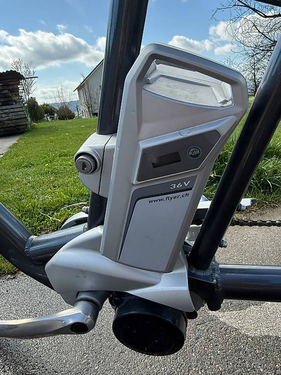 Biciclette: Flyer Tandem Deluxe – Usato da Müllheim Dorf venduto da pch_j6ky 4
