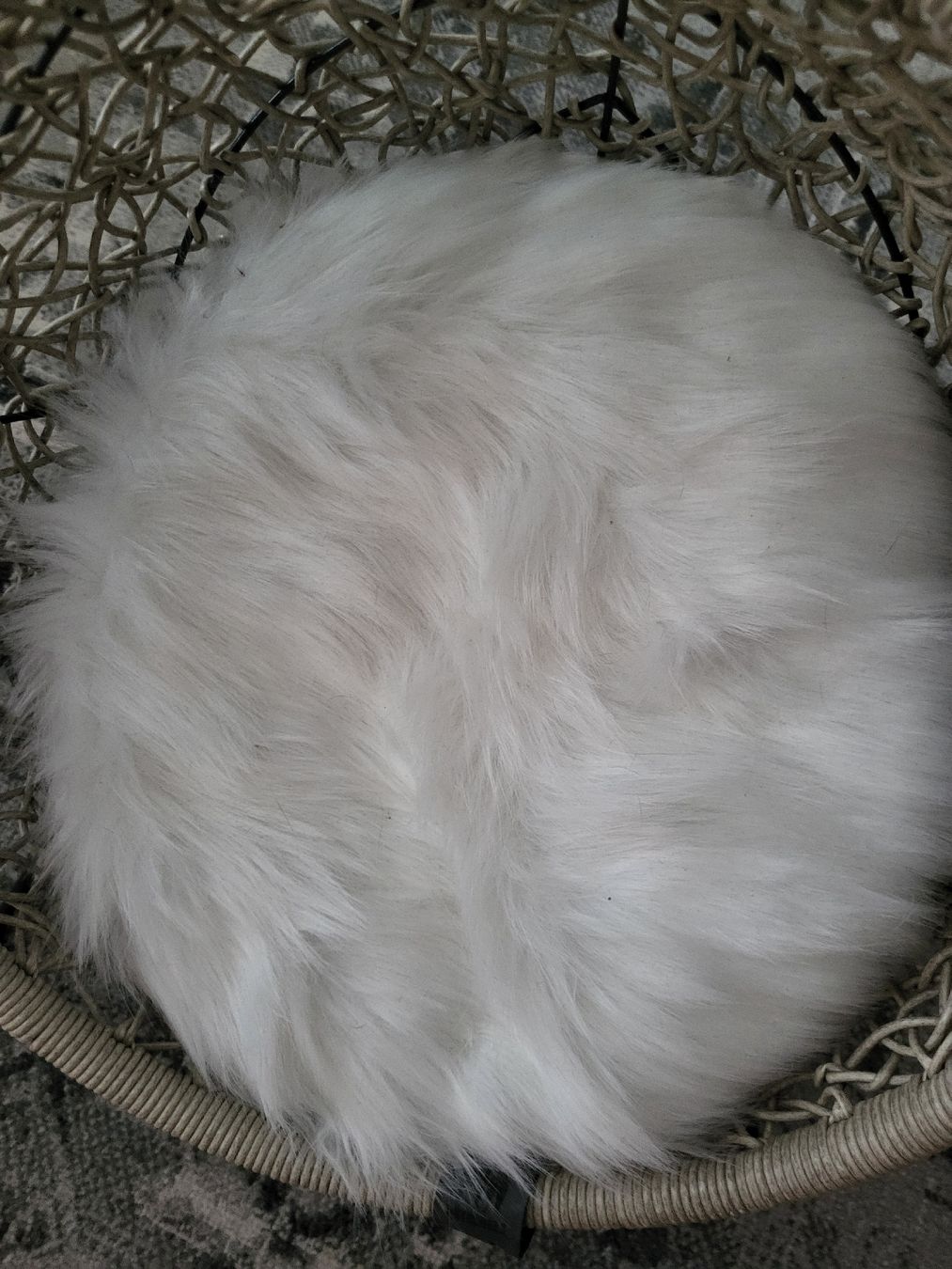 Liege- & Schlafplätze: Panier pour chat-chien – Gebraucht aus Geneve von Mk.i 2