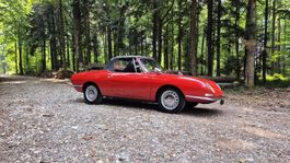 Zuverlässiger Fiat 850 Spider mit Veteraneneintrag BJ. 1967