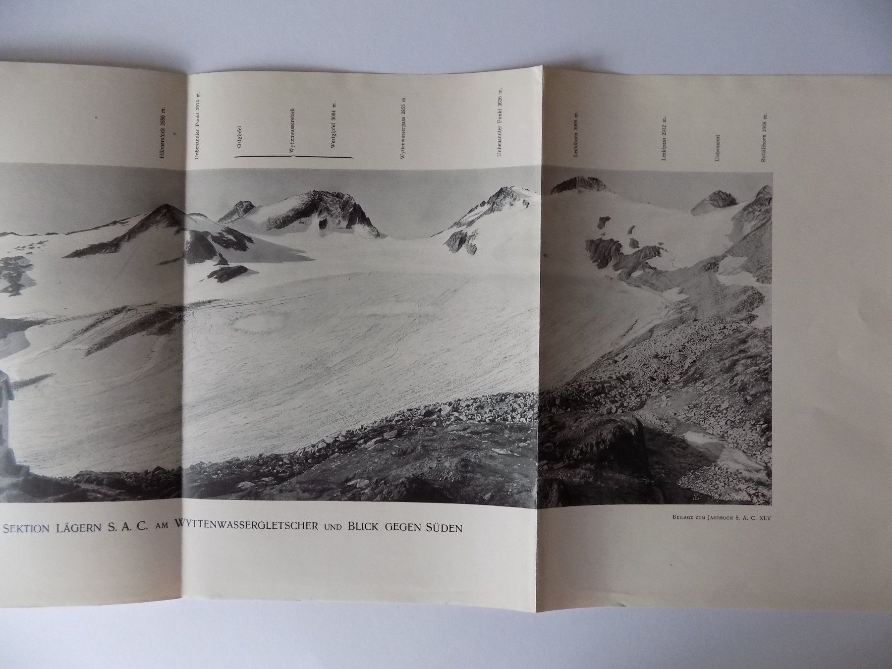 Incisioni: Wyttenwassergletscher Blick gegen Süden – Usato da Risch venduto da Antikfee 3