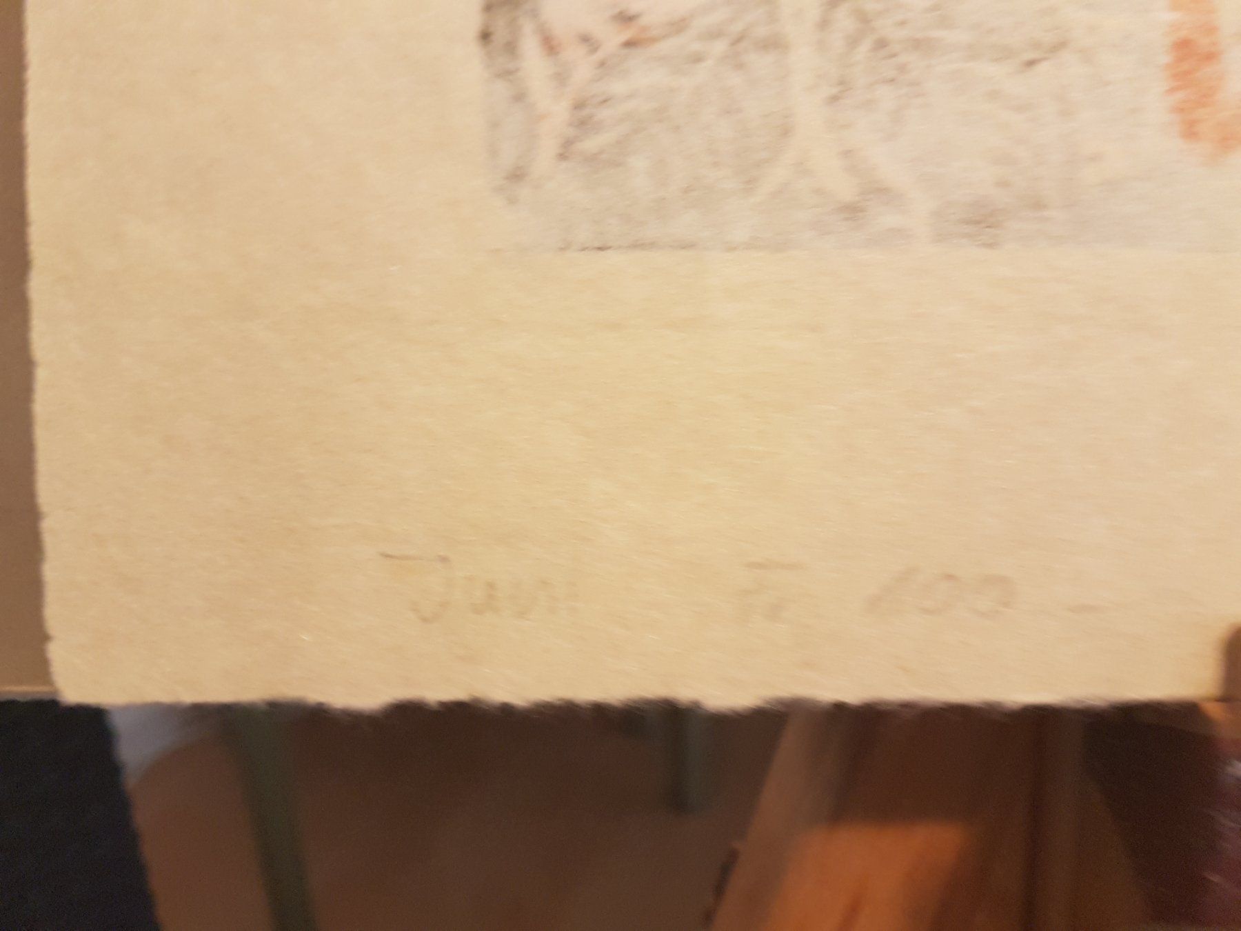 Dipinti: Jakob "Kobi" Baumgartner - Original Holzschnitt "Juni" 5/100 – Usato da Glattbrugg venduto da casabelavista 7